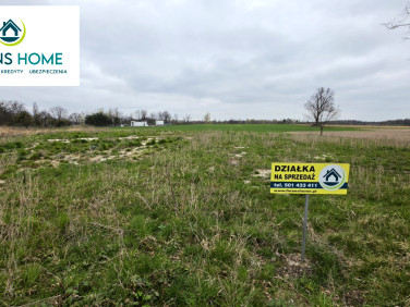 Działka siedliskowa Strzegów