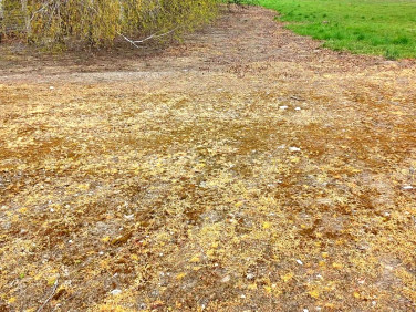 Działka budowlana Bednary