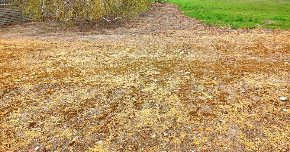 Działka budowlana Bednary