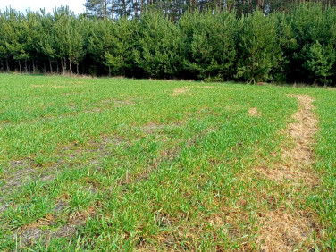 Działka rolna Uchan Dolny