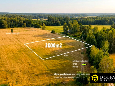 Działka siedliskowa Pokaniewo-Kolonia