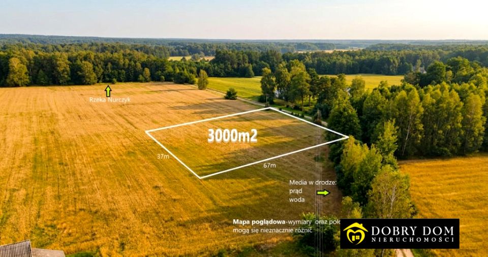 Działka siedliskowa Pokaniewo-Kolonia