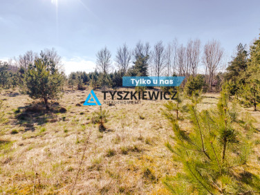 Działka rekreacyjna Żukówko