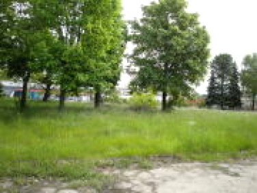 Działka usługowa Suchy Las