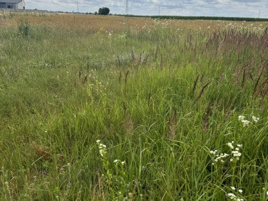 Działka budowlana Leszno