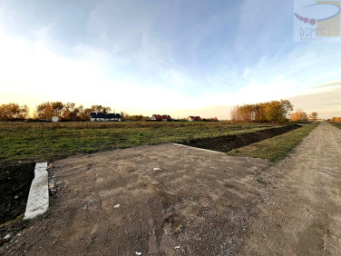 Działka rolna Domaniew