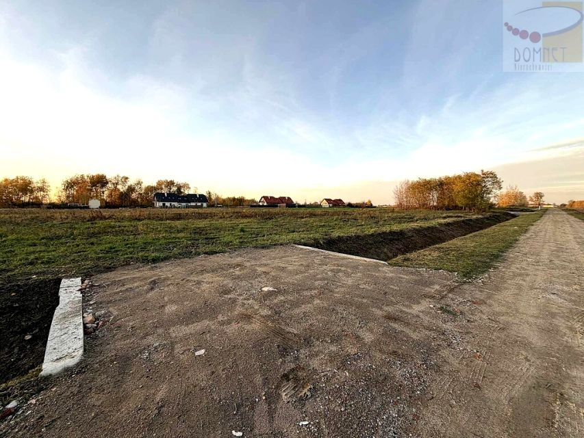 Działka rolna Domaniew
