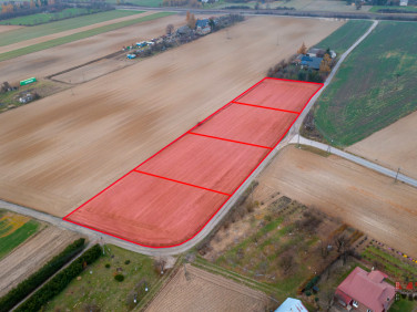 Działka siedliskowa Starościce