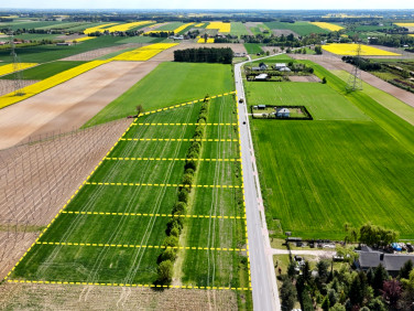 Działka siedliskowa Kijany