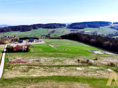 Działka budowlana Ptaszkowa