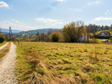 Działka Pawlikowice