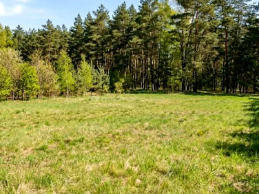 Działka budowlana Skierniewice