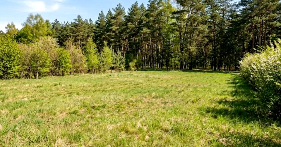 Działka budowlana Skierniewice