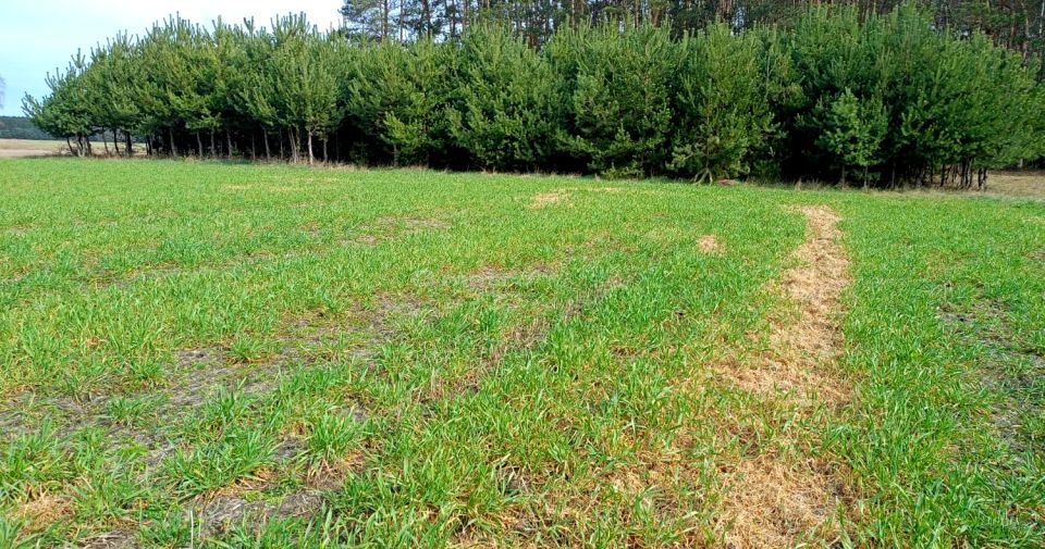 Działka rolna Uchan Dolny