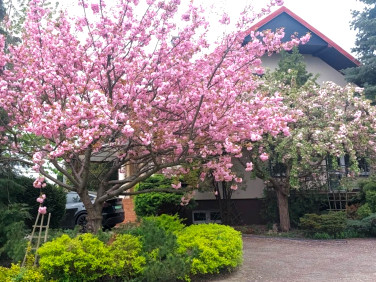 Dom Aleksandria Druga sprzedaż