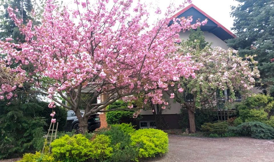 Dom Aleksandria Druga sprzedaż