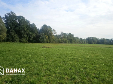 Działka budowlana Cholerzyn