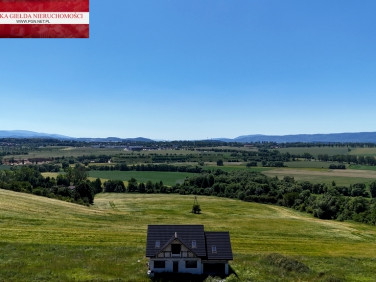 Dom Ścinawica sprzedaż