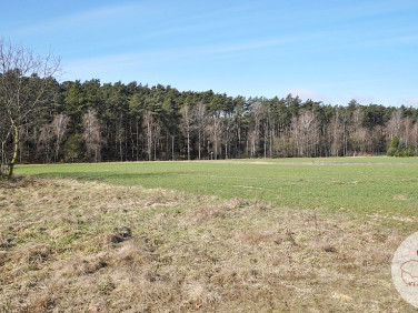 Działka budowlana Sowinki