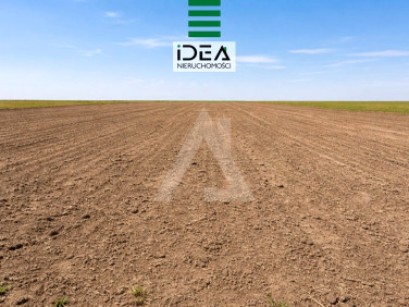 Pusta działka Władysławowo