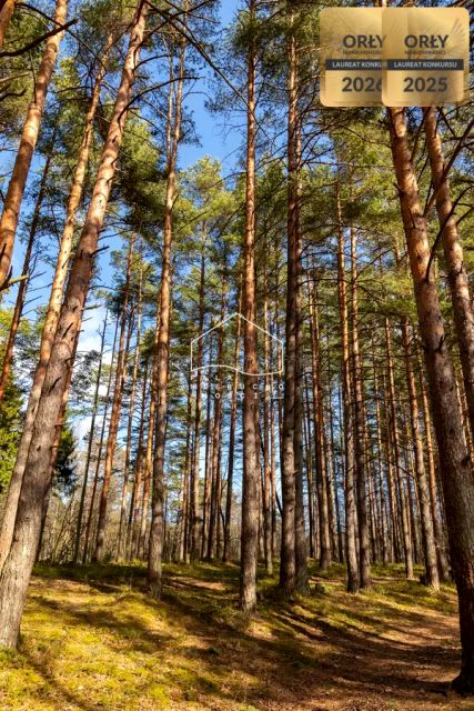 Działka leśna Gostomko