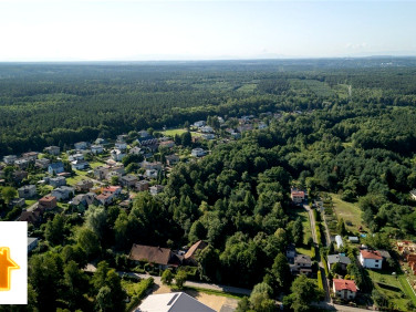 Działka leśna Rybnik