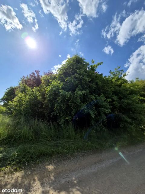 Działka budowlana Czyżowice