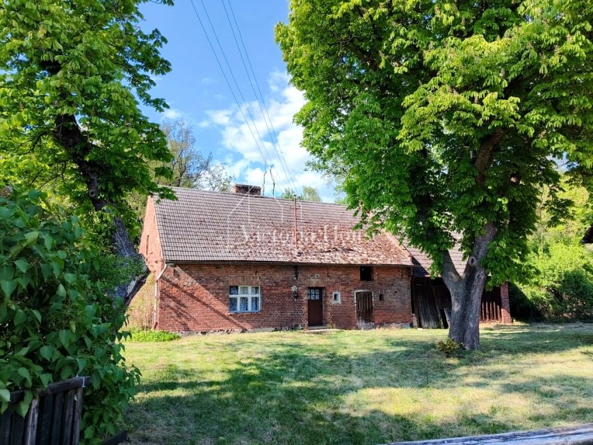 Zdjęcie 3