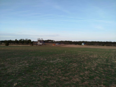 Działka budowlana Sylczno