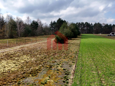 Działka Czarna Sędziszowska