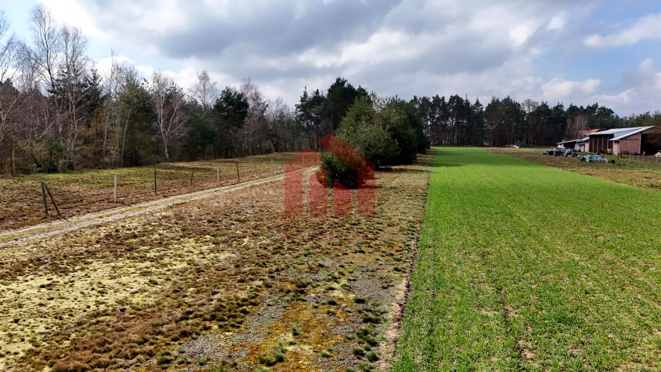 Działka Czarna Sędziszowska