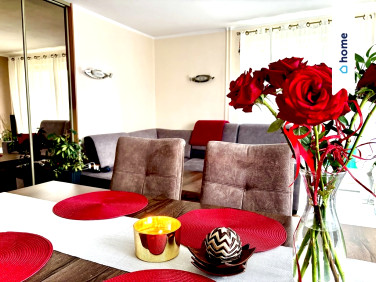 Mieszkanie Jelenia Góra