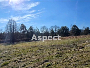 Działka budowlana Rybnik