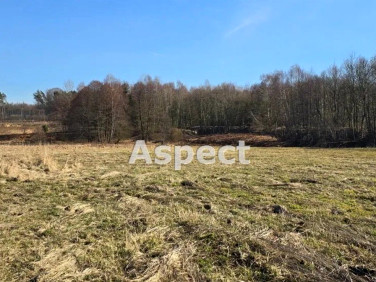 Działka budowlana Rybnik