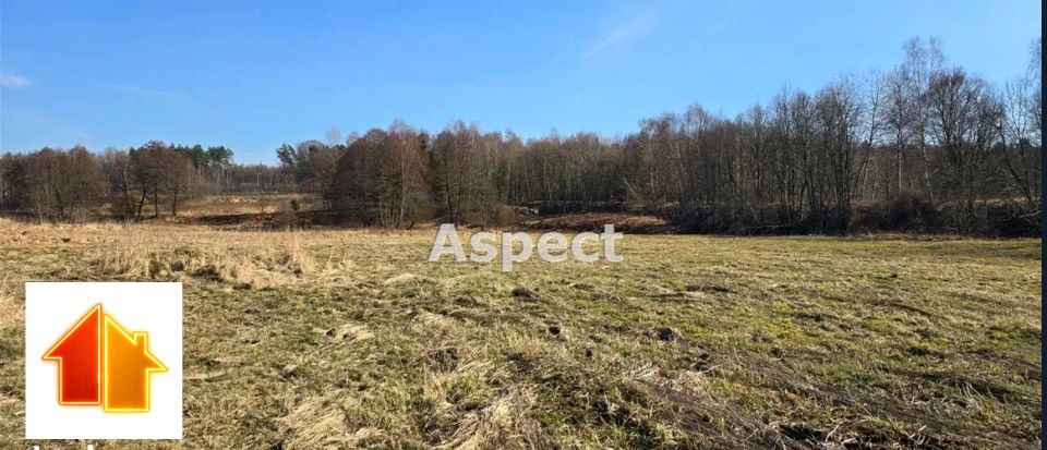 Działka budowlana Rybnik