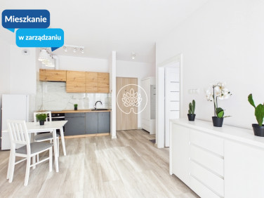 Mieszkanie Bydgoszcz