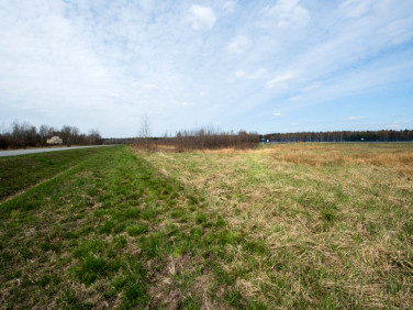 Działka inwestycyjna Jasionka