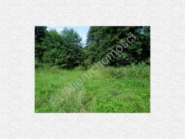 Działka rolna Choszczówka Stojecka