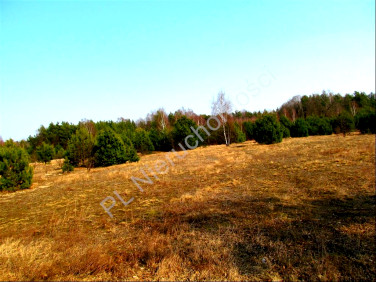 Działka budowlano-rolna Wola Ducka