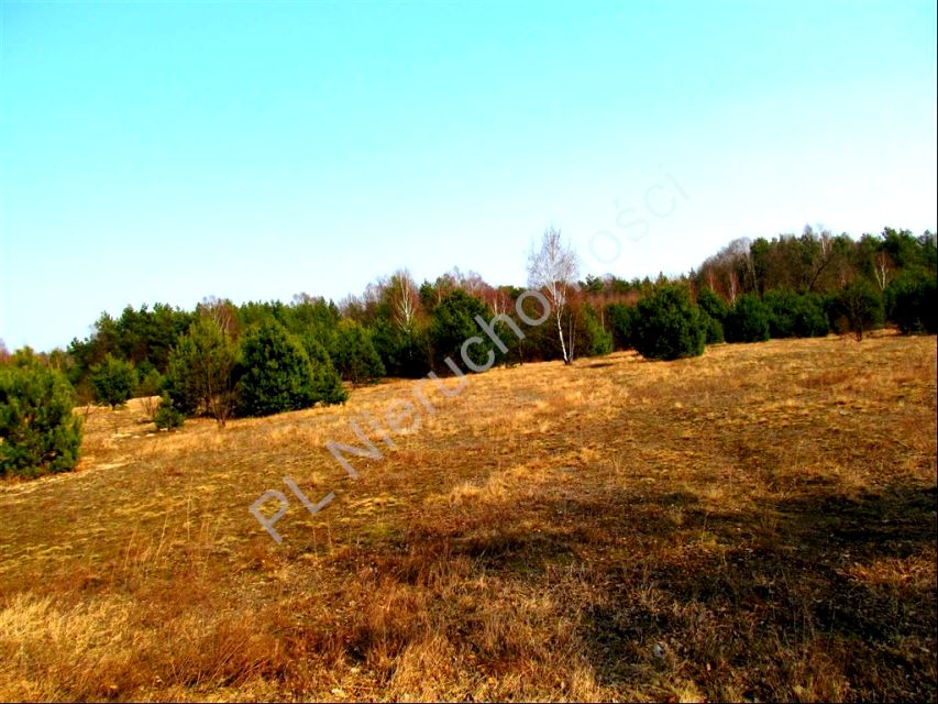 Działka budowlano-rolna Wola Ducka