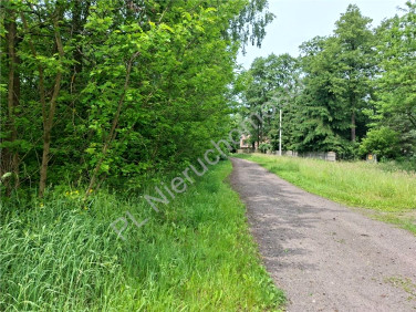 Działka budowlana Cisówka