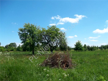 Działka budowlana Tyborów