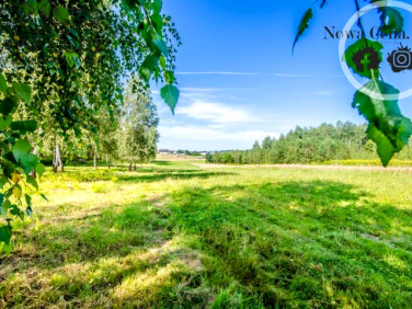 Działka rolna Grudna Kępska