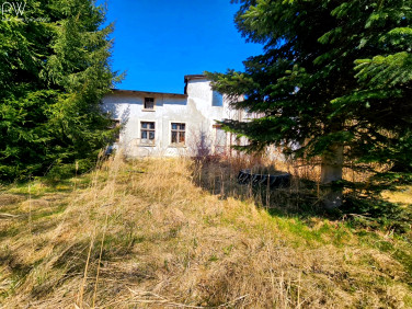 Dom Gościno sprzedaż