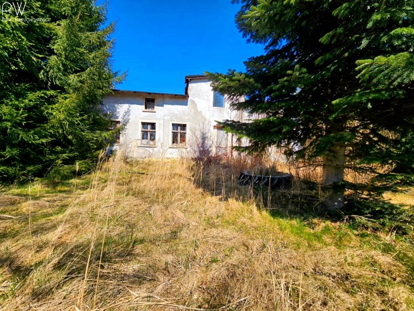 Dom Gościno sprzedaż