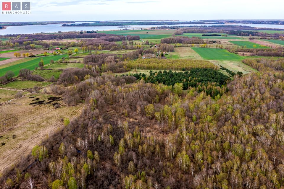 Działka leśna Kukułowo