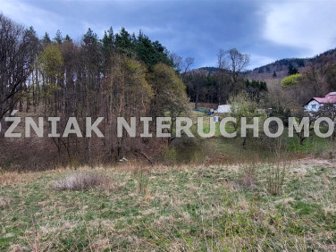 Działka rolna Wałbrzych