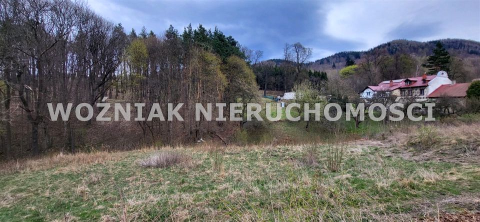 Działka rolna Wałbrzych