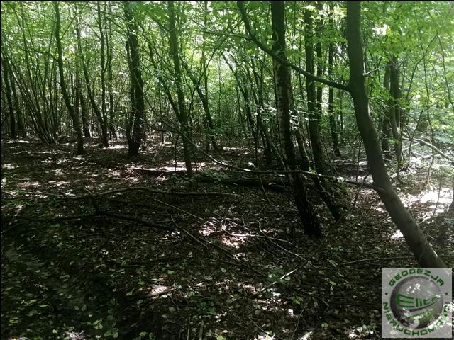 Działka rolna Będkowice