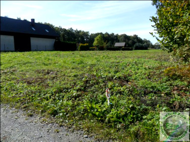 Działka usługowa Bębło